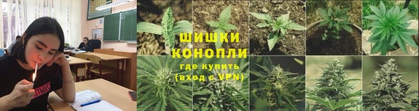 дурь Кинешма