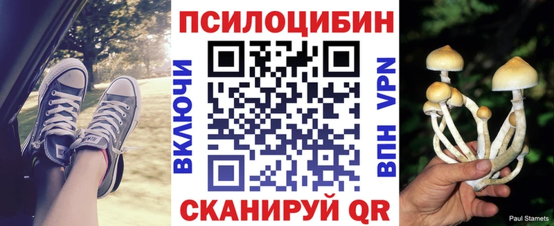 Галлюциногенные грибы Psilocybine cubensis  купить   Обнинск 